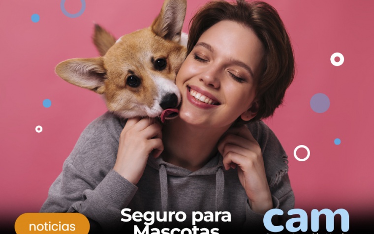 Seguro para Mascotas